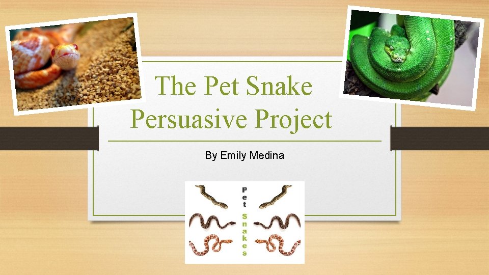 The Pet Snake Persuasive Project By Emily Medina 