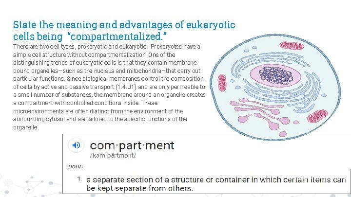 State the meaning and advantages of eukaryotic cells being “compartmentalized. ” There are two