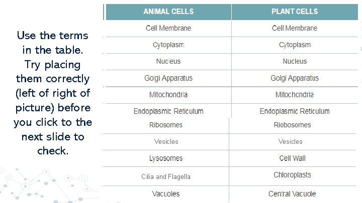 Use the terms in the table. Try placing them correctly (left of right of