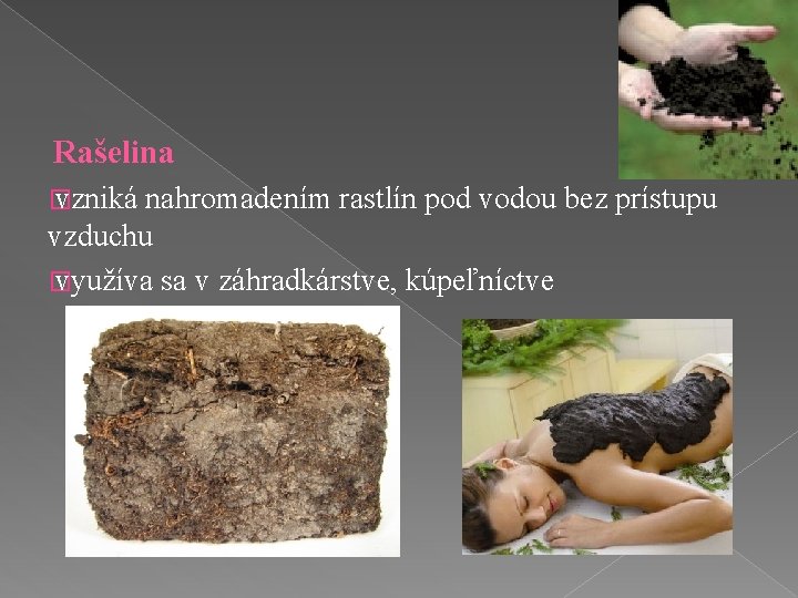 Rašelina � vzniká nahromadením rastlín pod vodou bez prístupu vzduchu � využíva sa v