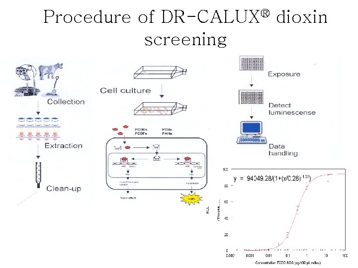 Procedure of DR-CALUX® dioxin screening 
