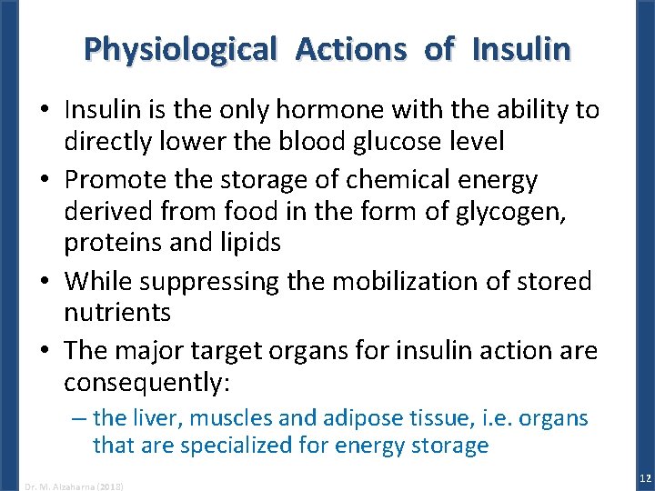 Physiological Actions of Insulin • Insulin is the only hormone with the ability to