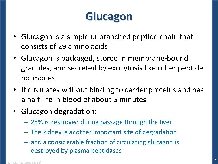 Glucagon • Glucagon is a simple unbranched peptide chain that consists of 29 amino