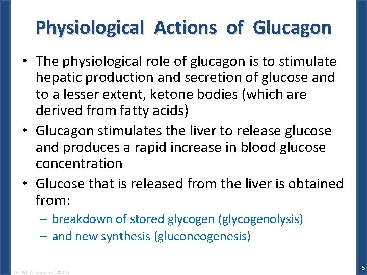Physiological Actions of Glucagon • The physiological role of glucagon is to stimulate hepatic
