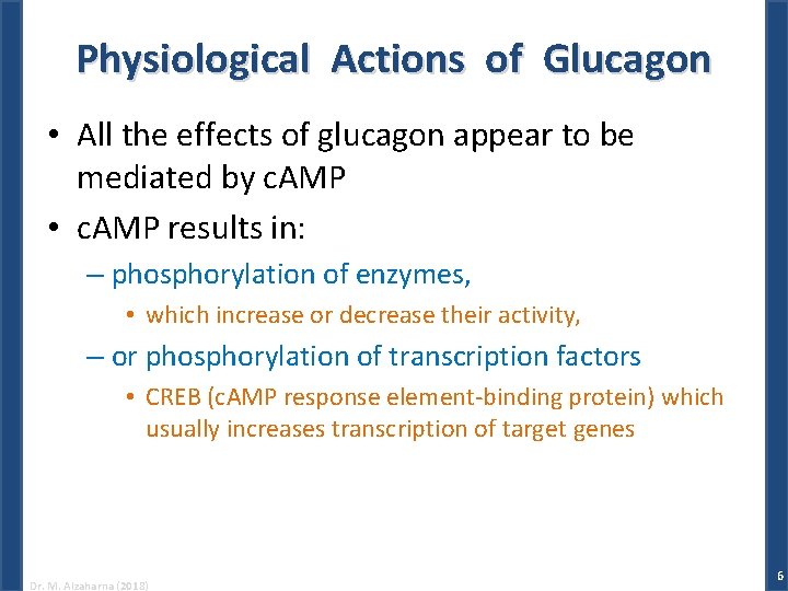 Physiological Actions of Glucagon • All the effects of glucagon appear to be mediated