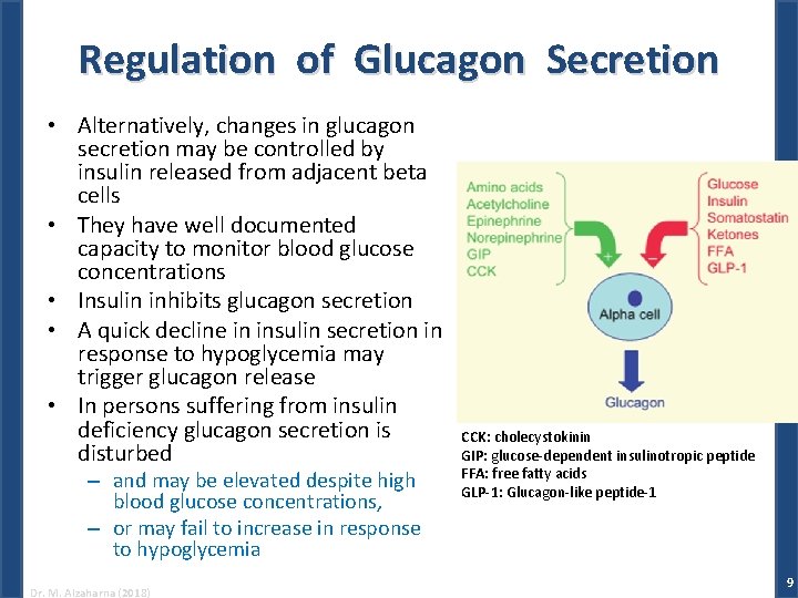 Regulation of Glucagon Secretion • Alternatively, changes in glucagon secretion may be controlled by