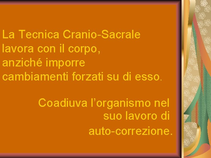 La Tecnica Cranio-Sacrale lavora con il corpo, anziché imporre cambiamenti forzati su di esso.