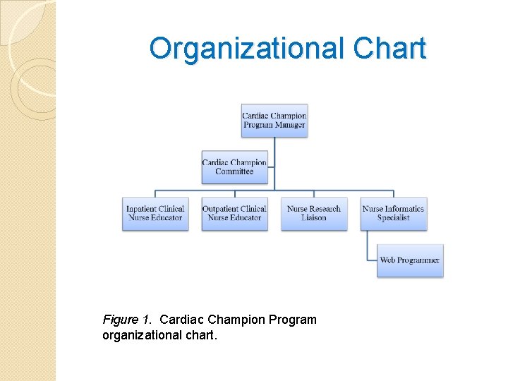 Organizational Chart Figure 1. Cardiac Champion Program organizational chart. 