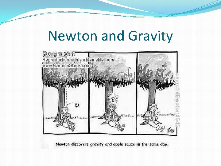 Newton and Gravity 