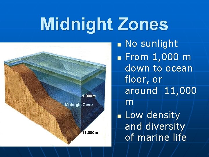 Midnight Zones n n 1, 000 m Midnight Zone n 11, 000 m No