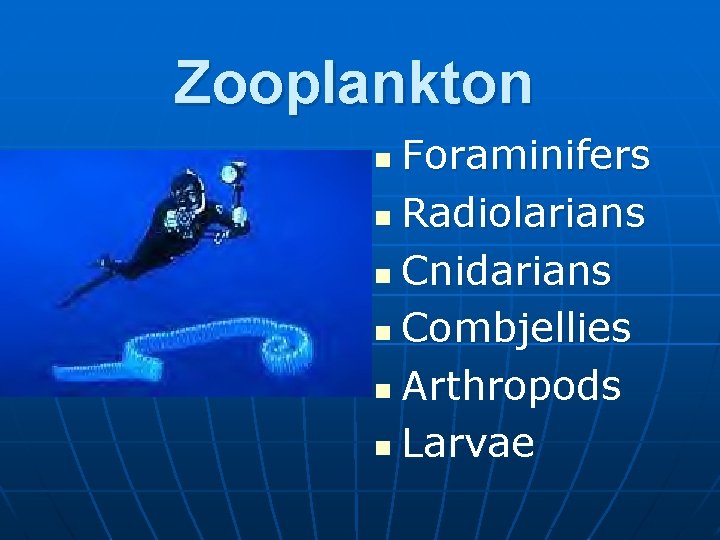 Zooplankton Foraminifers n Radiolarians n Cnidarians n Combjellies n Arthropods n Larvae n 