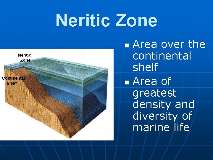 Neritic Zone Area over the continental shelf n Area of greatest density and diversity