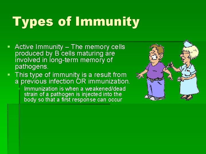 Types of Immunity § Active Immunity – The memory cells produced by B cells