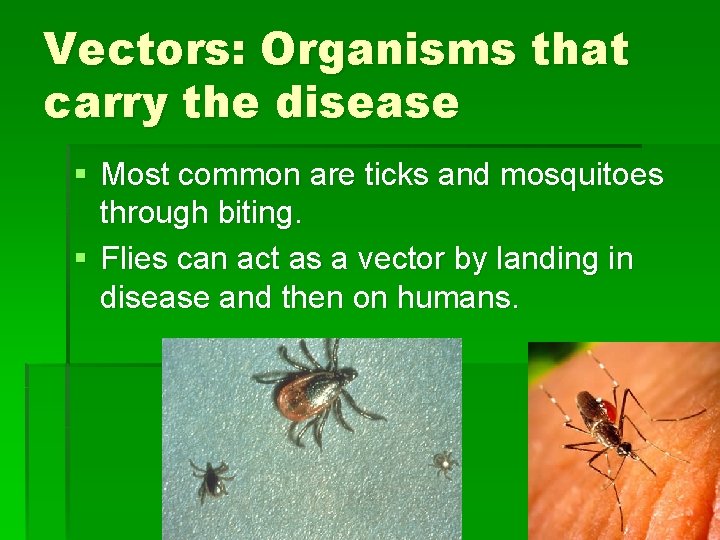 Vectors: Organisms that carry the disease § Most common are ticks and mosquitoes through