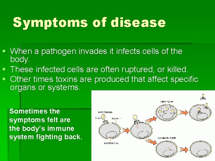 Symptoms of disease § When a pathogen invades it infects cells of the body.