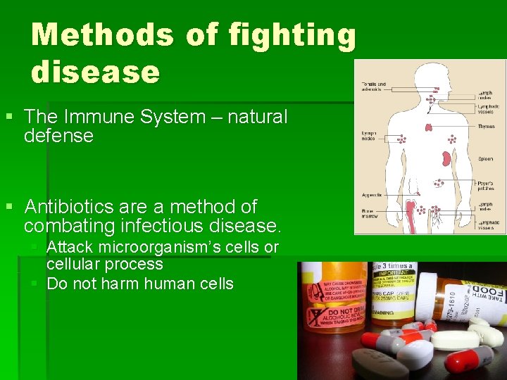 Methods of fighting disease § The Immune System – natural defense § Antibiotics are