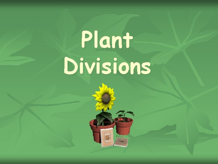 Plant Divisions 