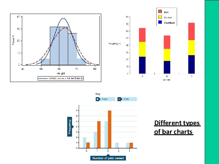 Different types of bar charts 