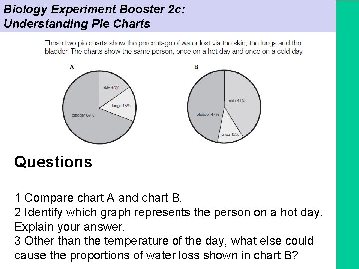 Biology Experiment Booster 2 c: Understanding Pie Charts Questions 1 Compare chart A and