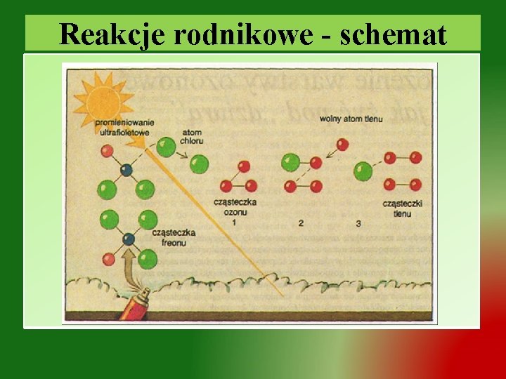 Reakcje rodnikowe - schemat 