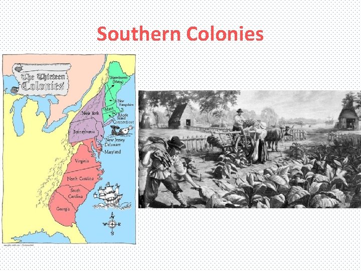 Southern Colonies 