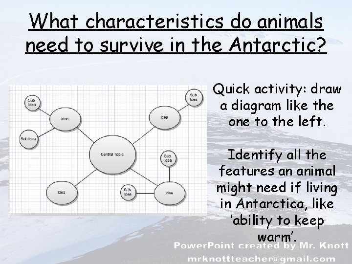 What characteristics do animals need to survive in the Antarctic? Quick activity: draw a