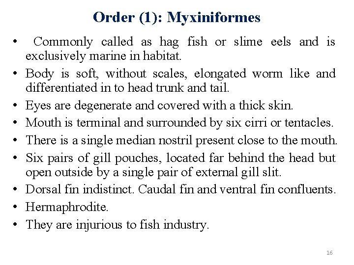 Order (1): Myxiniformes • • • Commonly called as hag fish or slime eels