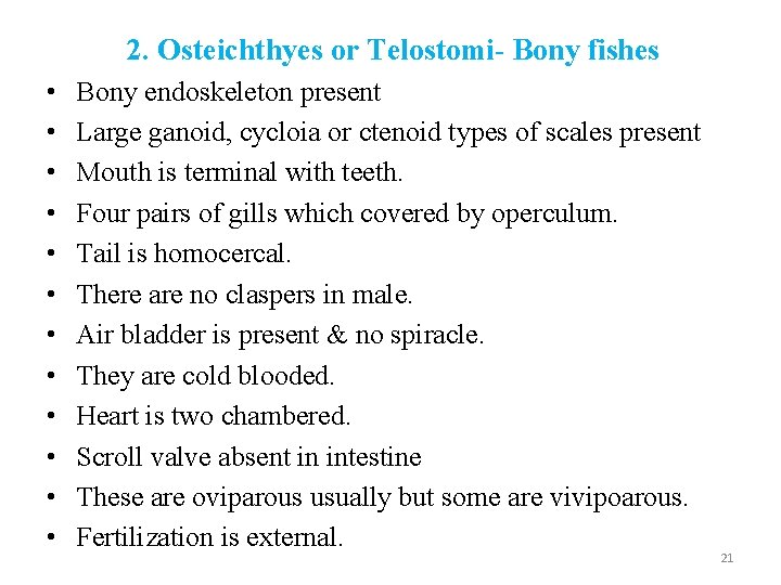 2. Osteichthyes or Telostomi- Bony fishes • • • Bony endoskeleton present Large ganoid,