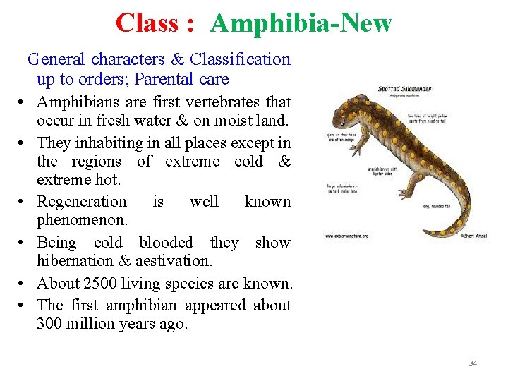 Class : Amphibia-New General characters & Classification up to orders; Parental care • Amphibians