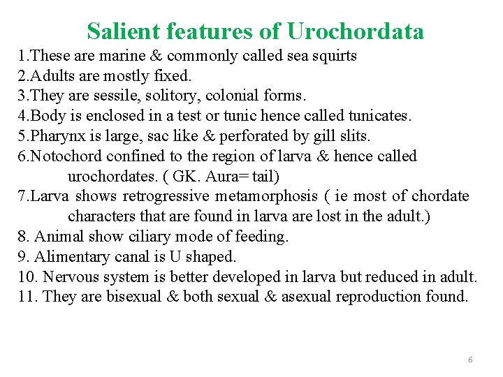 Salient features of Urochordata 1. These are marine & commonly called sea squirts 2.