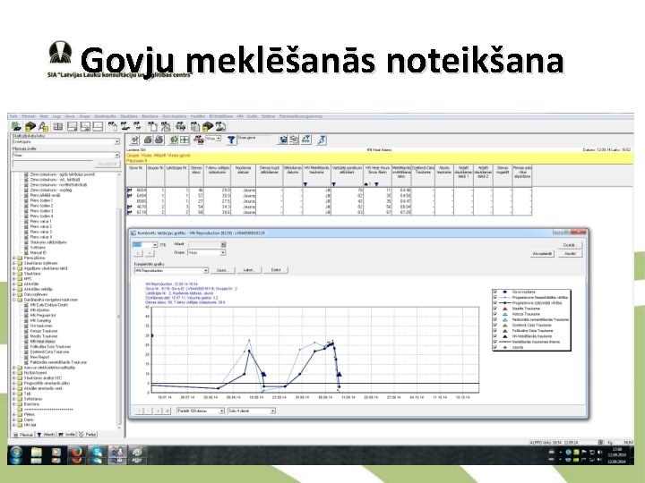 Govju meklēšanās noteikšana 