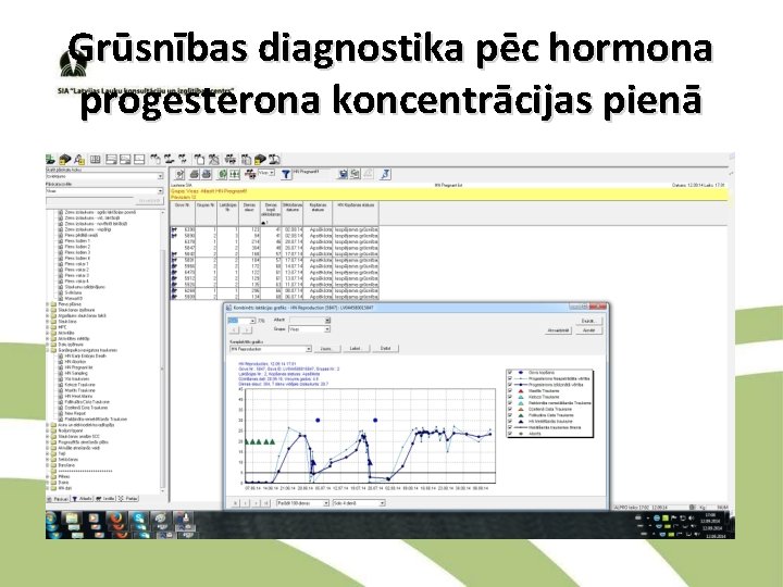 Grūsnības diagnostika pēc hormona progesterona koncentrācijas pienā 