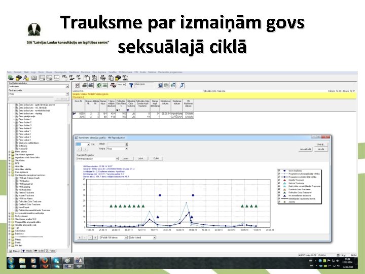 Trauksme par izmaiņām govs seksuālajā ciklā 
