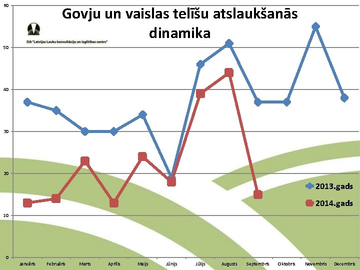 60 Govju un vaislas telīšu atslaukšanās dinamika 50 40 30 20 2013. gads 2014.