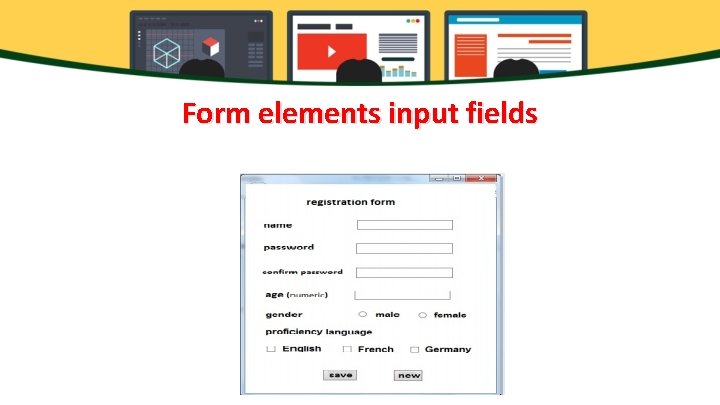 Form elements input fields 