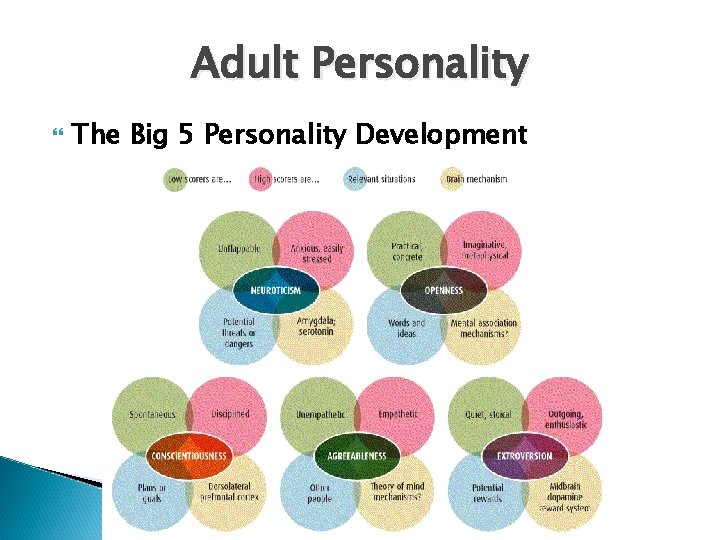 Adult Personality The Big 5 Personality Development 