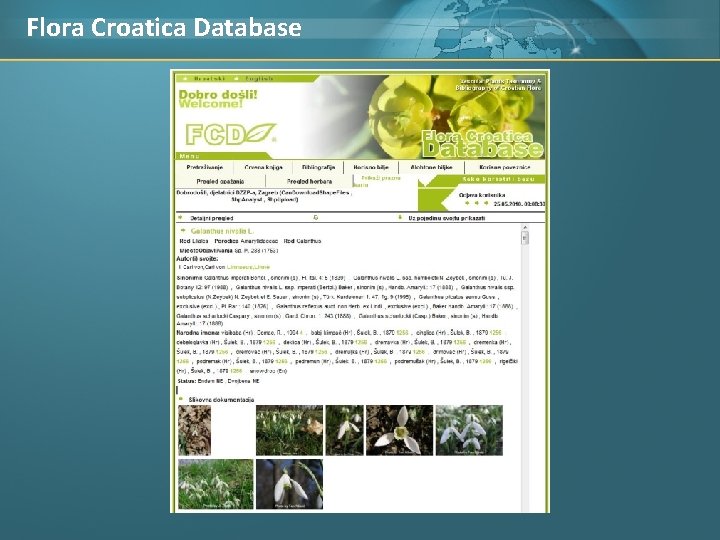 Flora Croatica Database 