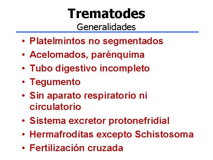 Trematodes • • Generalidades Platelmintos no segmentados Acelomados, parénquima Tubo digestivo incompleto Tegumento Sin