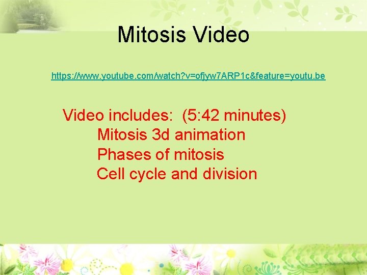 Mitosis Video https: //www. youtube. com/watch? v=ofjyw 7 ARP 1 c&feature=youtu. be Video includes: