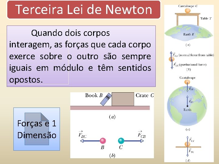 Terceira Lei de Newton Quando dois corpos interagem, as forças que cada corpo exerce