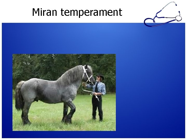 Miran temperament 