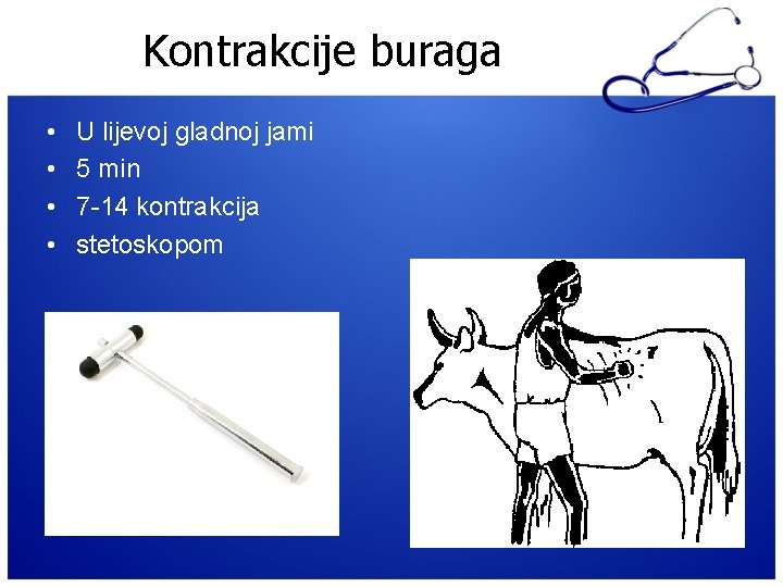 Kontrakcije buraga • • U lijevoj gladnoj jami 5 min 7 -14 kontrakcija stetoskopom