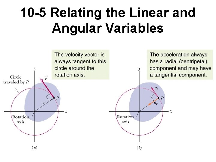 10 -5 Relating the Linear and Angular Variables 