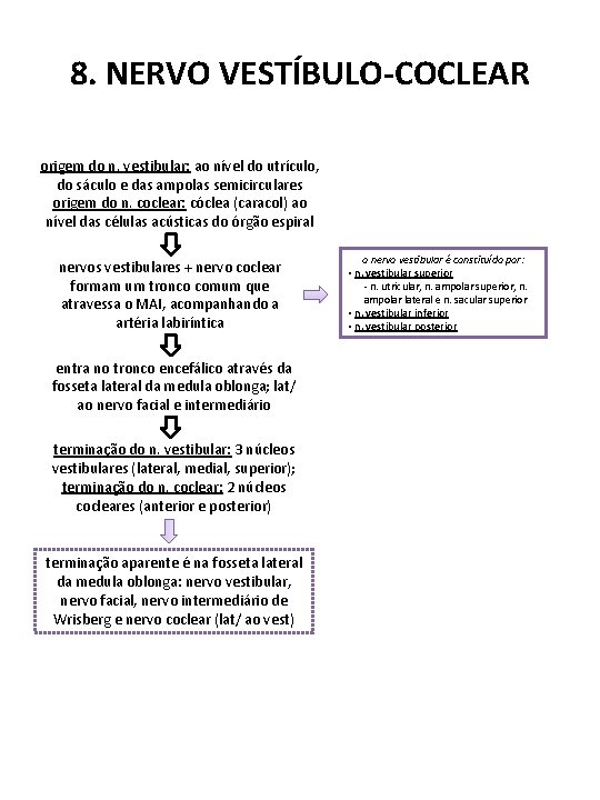 8. NERVO VESTÍBULO-COCLEAR origem do n. vestibular: ao nível do utrículo, do sáculo e