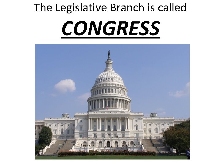 The Legislative Branch is called CONGRESS 