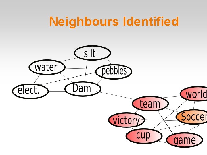 Neighbours Identified 