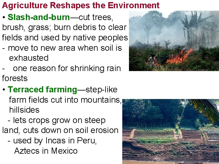 Agriculture Reshapes the Environment • Slash-and-burn—cut trees, brush, grass; burn debris to clear fields