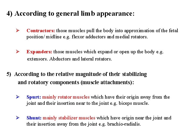 4) According to general limb appearance: Ø Contractors: those muscles pull the body into