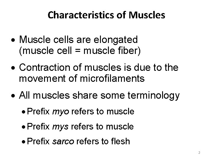 Characteristics of Muscles · Muscle cells are elongated (muscle cell = muscle fiber) ·