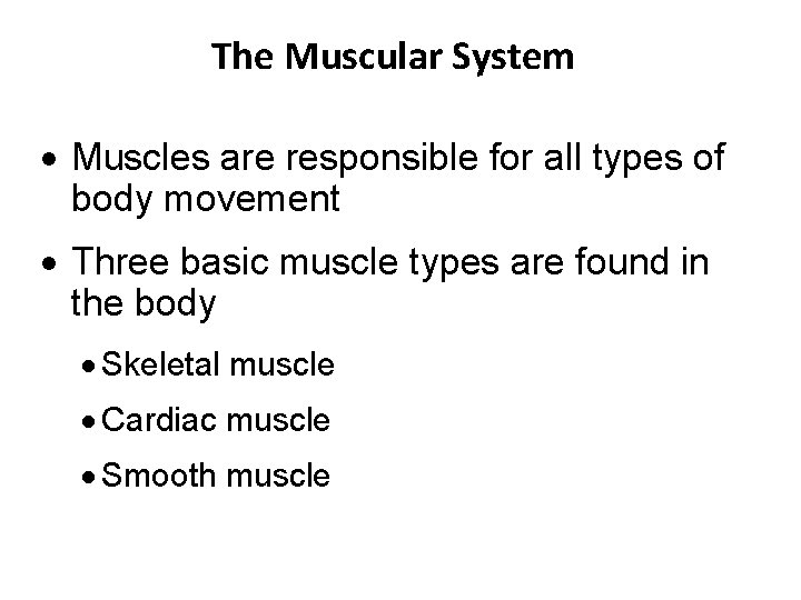 The Muscular System · Muscles are responsible for all types of body movement ·